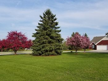 Lush established landscaping